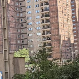 فروش ارکیده